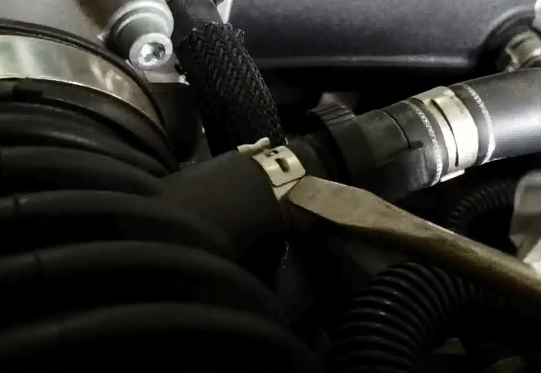 remove ear hose clamp